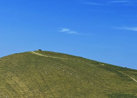 IMG_7331